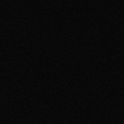 NOIR SPARKLING ROSÉ | 8 CANS